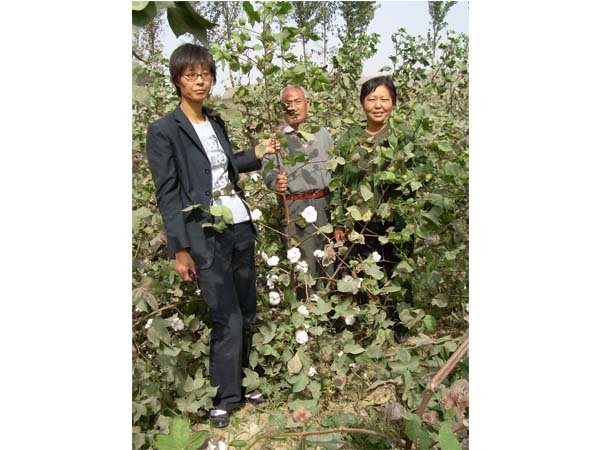 �޻���Ʒ�Nչʾ