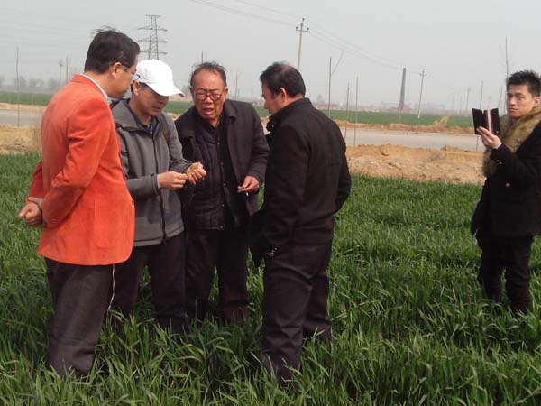 ���N��(zhu��n)�����r(n��ng)��(h��)����鿴