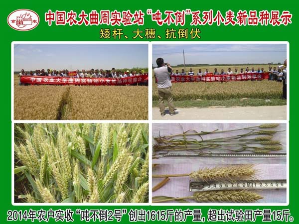 ����߮a(ch��n)