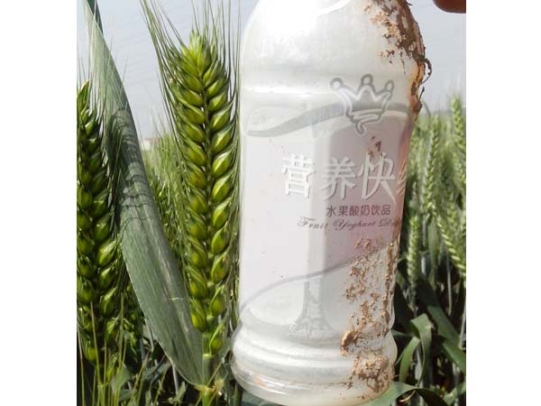 �����L(zh��ng)12����