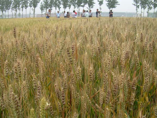 ���N�����С��