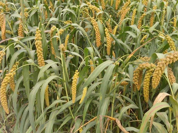 ����21�s��