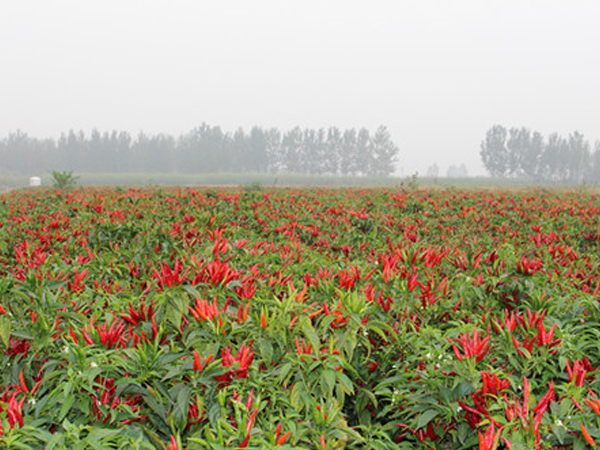 �������콷