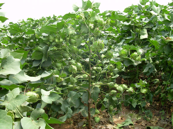 �Y(ji��)��ԏ�(qi��ng)