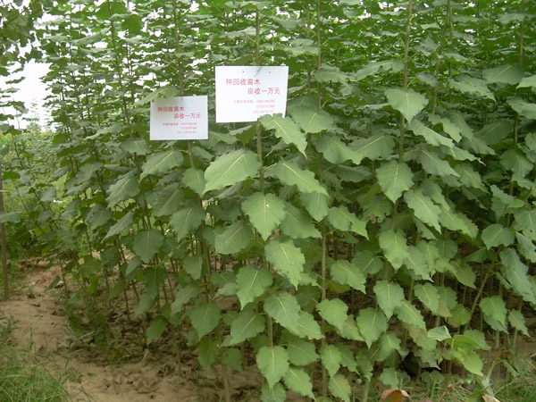 �����107��(y��u)ϵ