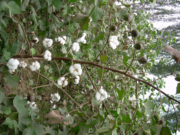 ����Y(ji��)�һ�ٶ�