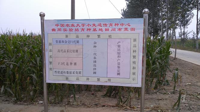 С�����N�ﲼ�ÈD