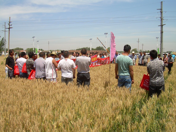 С����Ʒ�N�^Ħ��