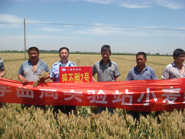 С����Ʒ�N�^Ħ��