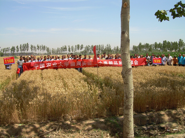 С����Ʒ�N�^Ħ��