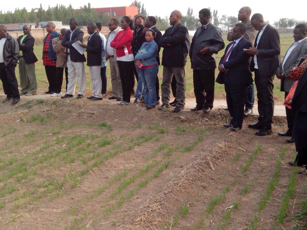 ̹ɣ�၆���^�F��ԇ���