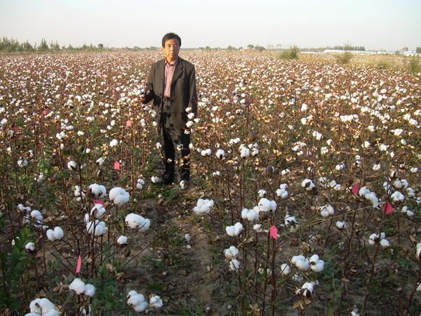 �޻����N��