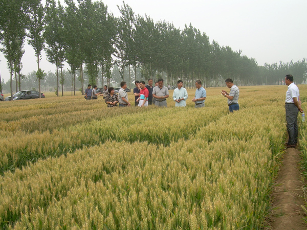 �������N�������g�^Ħ