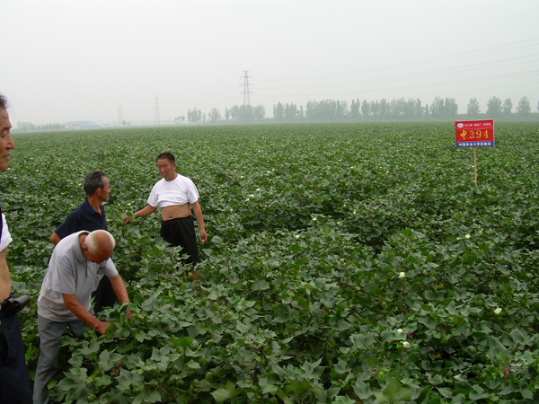 �޻���Ʒ�N���g�^Ħ