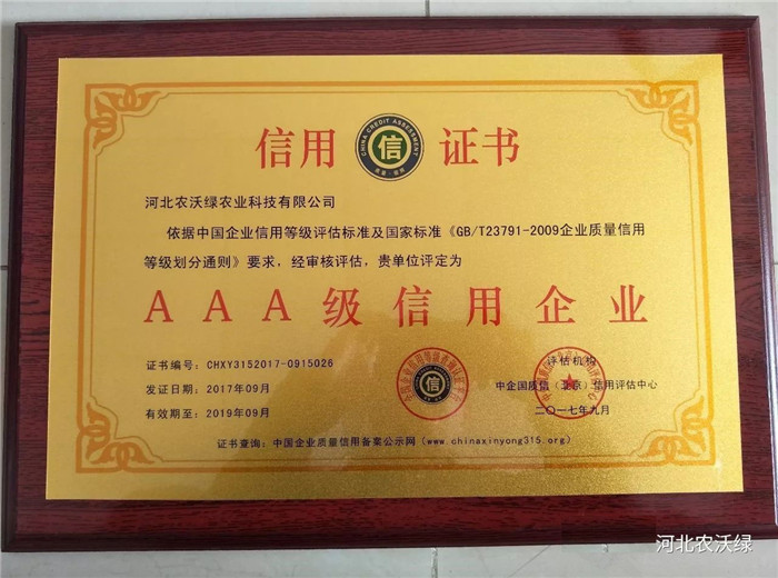 AAA��������I(y��)