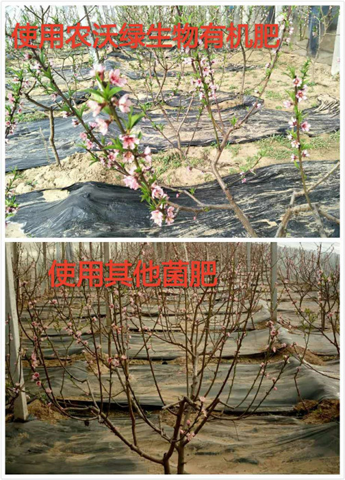 �Ҙ�(sh��)ʹ��Ч����(du��)��