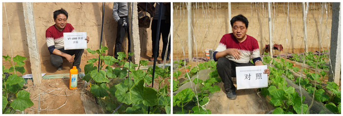 �S��ʹ��Ч����(du��)��