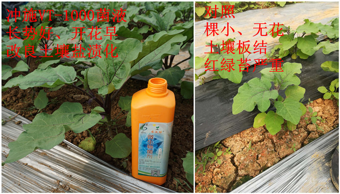 ����Ч����(du��)��