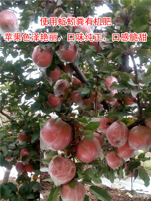 �O(p��ng)��ʹ��Ч��