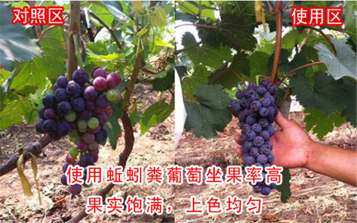 ����ʹ��Ч����(du��)��