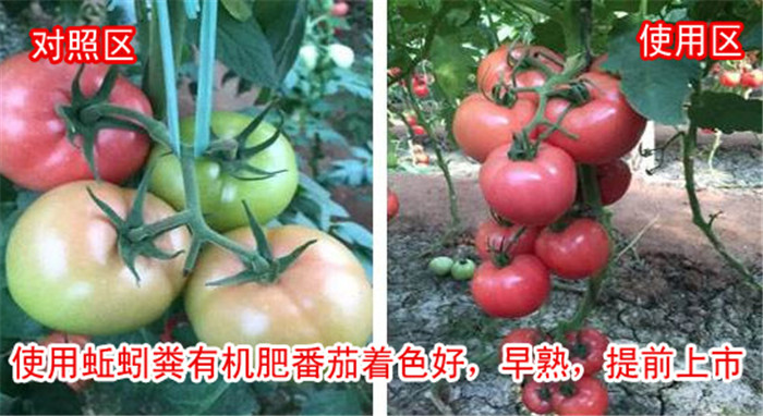 ���t��ʹ��Ч����(du��)��