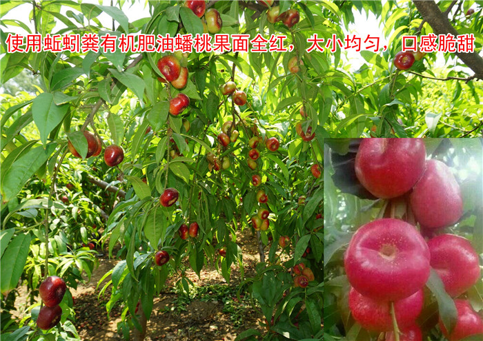 �����ʹ��Ч��