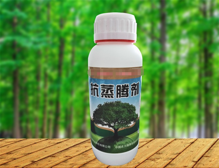 �����v��