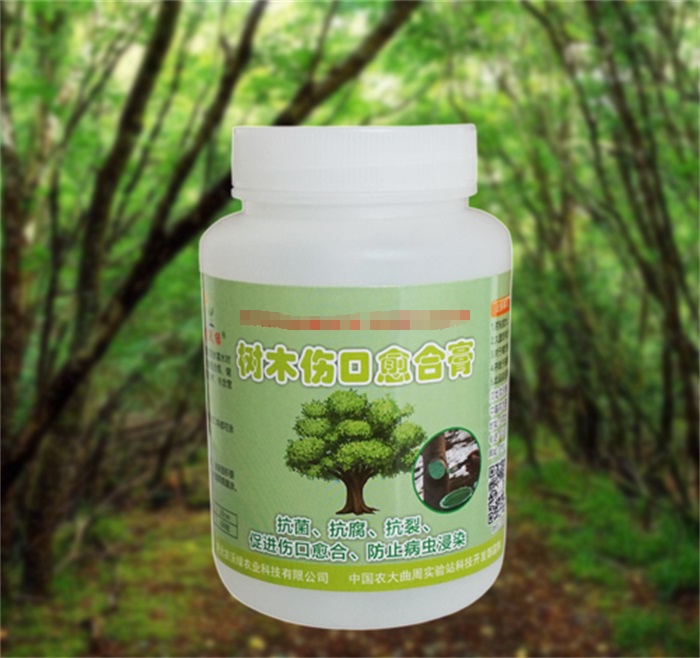 ��ľ�������ϸ�