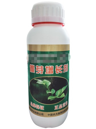 ��ѿ���L��