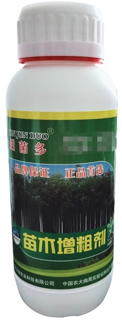 ��ľ���ք�